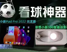 关于窗口期突围战来临，夏洛特黄蜂围绕足总杯临场应变，话题不断，控场能力受关注的信息